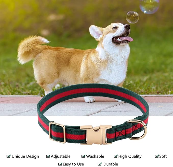 Premium Dog Collar, Cute Dog Collars Luxury Style, Durable Pet Collars with Metal Buckle Safety for Medium Dogs