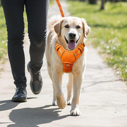 BARKBAY No Pull Dog Harness Large Reflective Dog Harness with Front Clip and Easy Control Handle for Walking Training Running with ID tag Pocket(Orange,L)