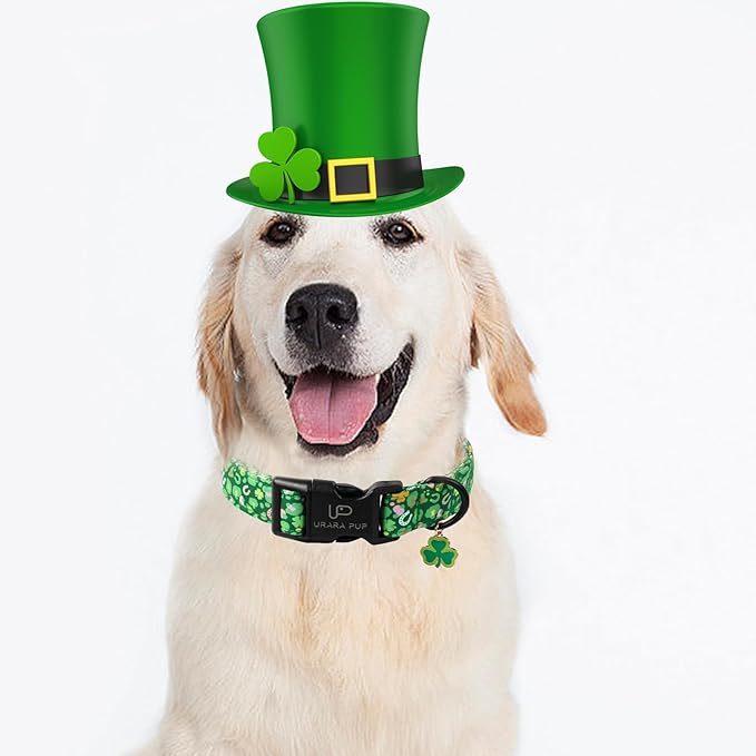 St. Patrick's Dog Collar, Cotton St. Patricks Clover Collar for Puppy Girl Boy Dog or Cat, Lucky Shamrock Dog Collar with Metal Buckle, Green, Spring, XS