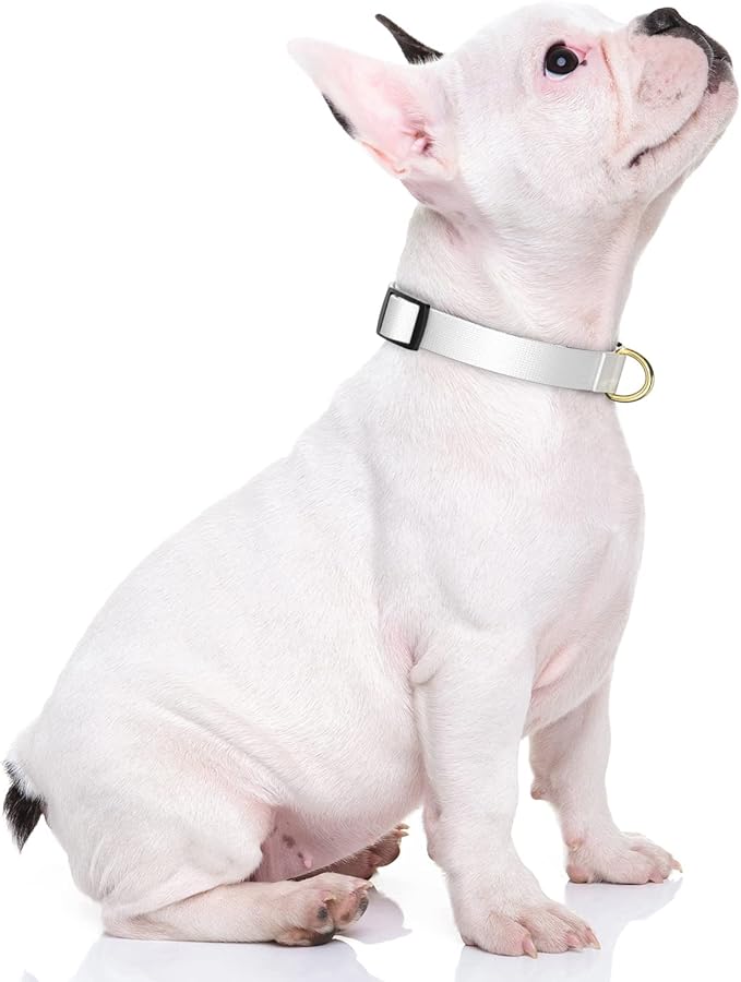 Rnivvi Dog Collar for Small Dogs, Classic Heavy Duty Adjustable Puppy Collar with Quick Release Buckle for Boy Girl & Female,Pet Accessories for Walking Running Training, S Length 3/4" Width, White