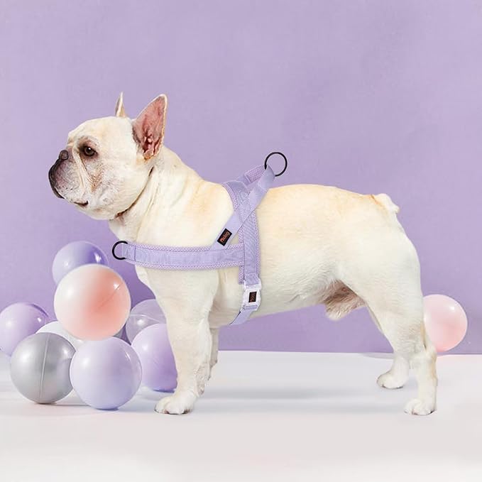 Didog No Pull Dog Harness with Breathable Mesh Padded, Quick Fit & Easy on Dog Vest Harness for Small Medium Large Dogs Training Walking(Purple,L)