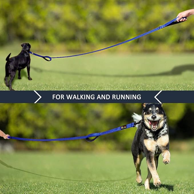 Plutus Pet Dog Leash 6ft Long,Traffic Padded Two Handle,Heavy Duty,Reflective Double Handles Lead for Control Safety Training,Leashes for Large Dogs or Medium Dogs,Dual Handles Leads(Navy Blue)