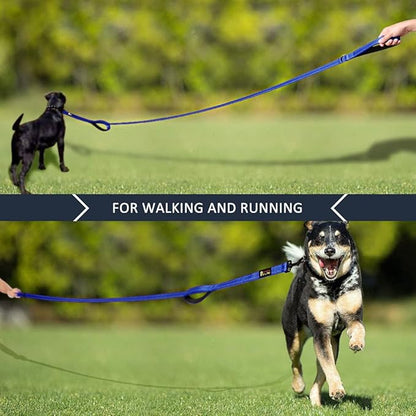 Plutus Pet Dog Leash 6ft Long,Traffic Padded Two Handle,Heavy Duty,Reflective Double Handles Lead for Control Safety Training,Leashes for Large Dogs or Medium Dogs,Dual Handles Leads(Navy Blue)
