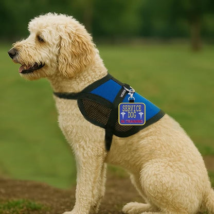 WORKINGSERVICEDOG.COM Service Dog in Training Clip-On ID Patch Tag - Includes 5 Federal Law Handout Cards - Clips to Vest, Harness, Collar, Leash, or Carrier