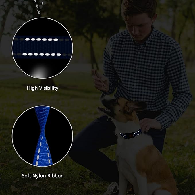 Martingale Dog Collar and Leash Set Martingale Collars for Dogs Reflective Martingale Collar for Small Medium Large Dogs(Blue&L)