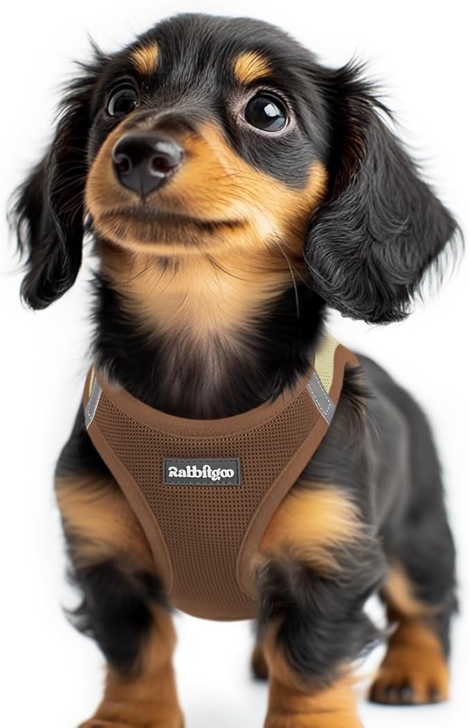rabbitgoo Small Dog Harness, Step-in Soft Mesh Puppy Vest with Safety Buckle, Breathable Reflective Pet Harness for Extra Small Dogs, Brown & Beige XXS