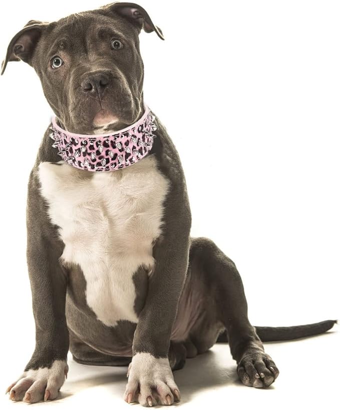 Hoot PU Leather Adjustable Spiked Studded Dog Collar 2" Wide 25 Spikes (XS(Neck 15"-18"), Pink Leopard)