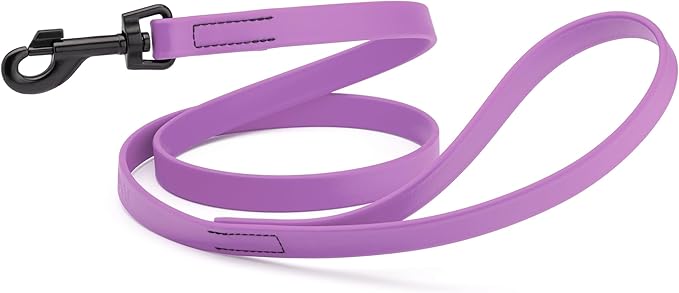 Dogline Biothane Waterproof Dog Leash Strong Coated Nylon Webbing with Black Hardware Odor-Proof Easy to Clean High Performance for Small or Large Dogs Made in USA 4 or 6 ft Lead, Amethyst Purple