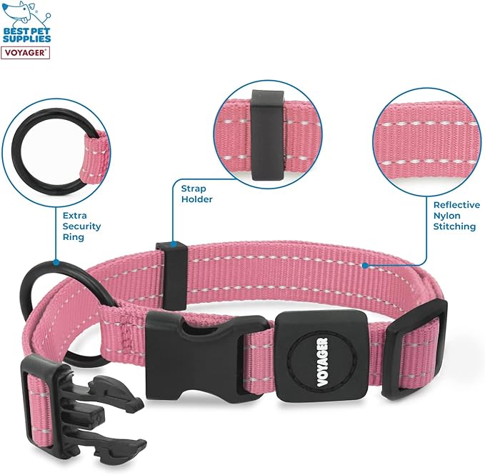Best Pet Supplies Voyager Reflective Dog Leash or Collar with Neoprene Handle, for Small, Medium, and Large Breed Puppies, Cute and Heavy Duty for Walking, Running and Training - Pink, S