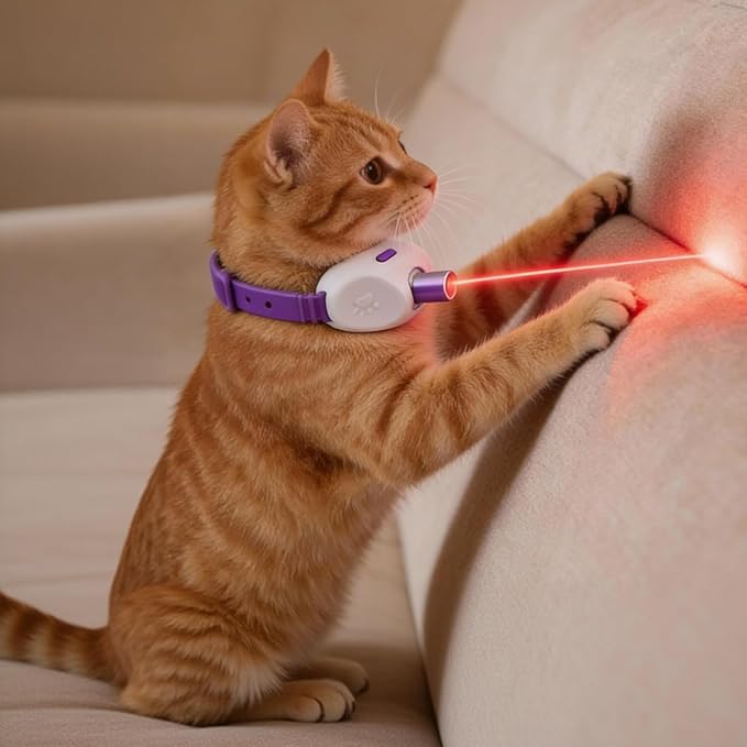 Walfront Cat Toys, Interactive Purple Light-Up Collar, USB Rechargeable, Adjustable 9.1–13.4in, 2 Modes & 41° Angle, Indoor Play for Multiple Cats & Kittens, Fun & Exercise