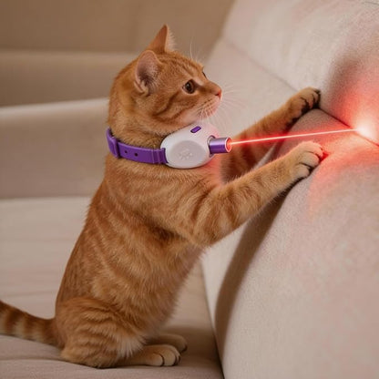 Walfront Cat Toys for Indoor Cats, Purple Light-Up Interactive Collar with Automatic Motion, Adjustable Fit 9.1–13.4"(23–34cm) USB Rechargeable 2 Modes, Home Alone Cats, Engaging Playtime