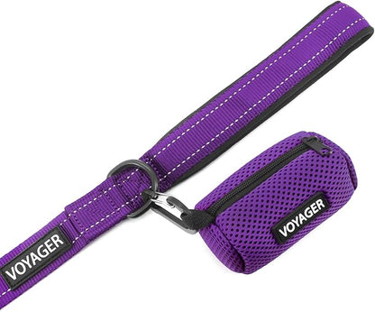 Best Pet Supplies Voyager Reflective Dog Leash or Collar with Neoprene Handle, for Small, Medium, and Large Breed Puppies, Cute and Heavy Duty for Walking, Running and Training - Purple (Leash), L