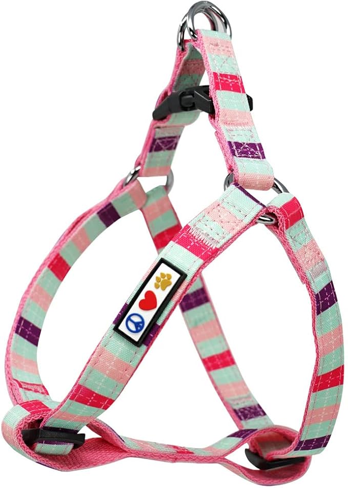 Pawtitas Multicolor Step-in Dog Harness – Adjustable No-Pull Vest for Puppies to Seniors, Safe & Comfortable S Teal/Pink/Purple