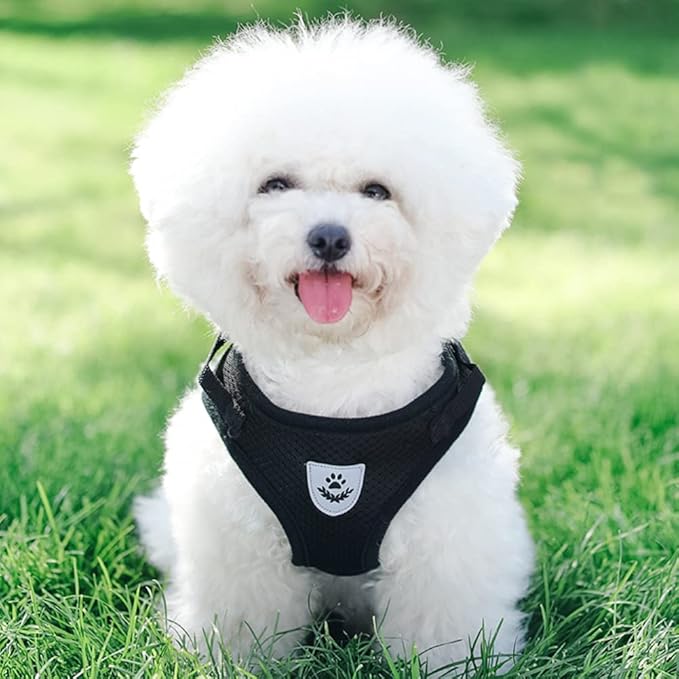 FEimaX Dog Harness and Leash Set for Walking, Soft Mesh Adjustable Easy Control Lightweight Cat Vest Harnesses with Reflective Strips, Escape Proof Small Dogs Cats Vests