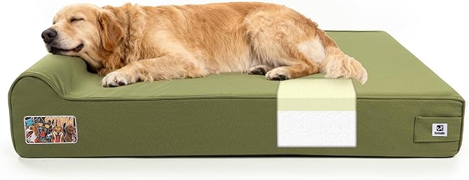 Sytopia XXL 50" Orthopedic Dog Bed – Outdoor Canvas 7" Thick Memory Foam Mattress with Pillow, Removable Washable Waterproof Liner – Ultimate Comfort for Extra Large Breed Dogs Over 100 Pounds, Green