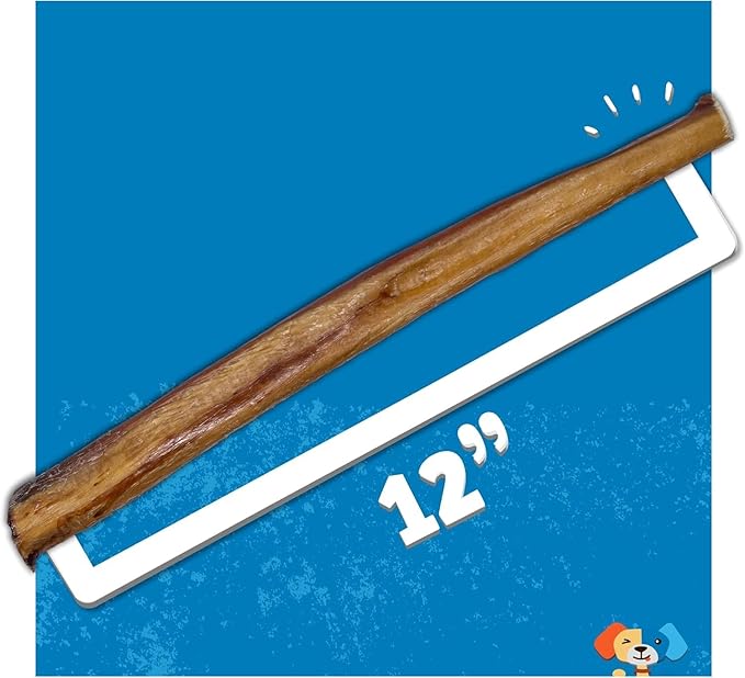 Jack&Pup 12 Inch Bully Sticks for Large Dogs | Jumbo Odor Free Bully Sticks Long Lasting | All Natural, 100% Beef Sticks (Jumbo, 1 Pack)