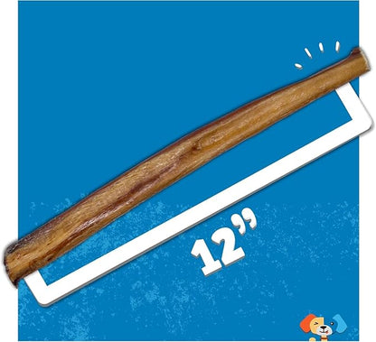Jack&Pup 12 Inch Bully Sticks for Large Dogs | Jumbo Odor Free Bully Sticks Long Lasting | All Natural, 100% Beef Sticks (Jumbo, 1 Pack)
