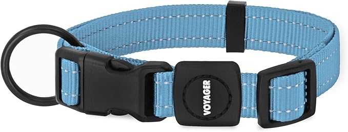 Best Pet Supplies Voyager Reflective Dog Leash or Collar with Neoprene Handle, for Small, Medium, and Large Breed Puppies, Cute and Heavy Duty for Walking, Running and Training - Baby Blue, M