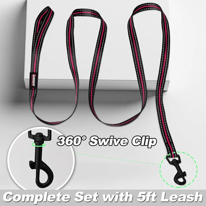 Dog Harness and Leash Set,Step in Small Sized Dog Harness,Soft Mesh,No-Chock,Reflective Adjustable,Secure with Hook & Loop Fastener,Puppy Vest for Small,Medium Dogs(Pink/Black,XXS)