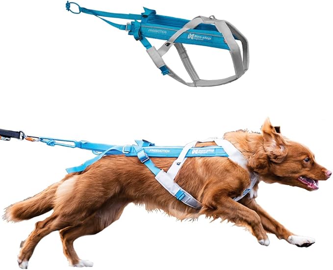 Non-stop dogwear Freemotion Harness 5.0 Dog Pulling Harness for Sports Like Running, Biking and Skiing with Dogs, Professional Adjustable Dog Harness, Blue/Gray, Size 5