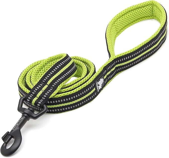 TRUE LOVE Reflective Dog Leash Puppy Walking Lead, Padded Pet Chain Rope，Length 110cm TLL2111(Neon Yellow,M)