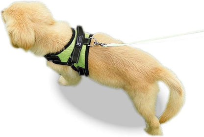 No Pull Reflective Adjustable Dog Harness with Handle- Comfortable Soft All Weather Mesh, Easy On Puppy Harness for Small Medium and Large Dogs (Green) Large