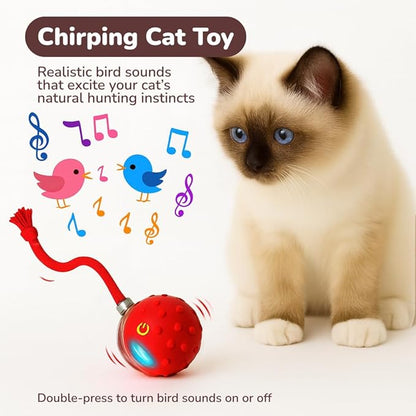 Outdoll Interactive Cat Toy Ball for Indoor Cats – Fast Rolling on Carpet, Motion Activated with Chirping Sounds, Smart Play Toy (Crimson)