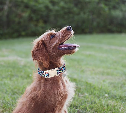 DOGWONG Cotton Dog Collar, Blue Dinosaur Dog Collar for Small Medium Large Dogs