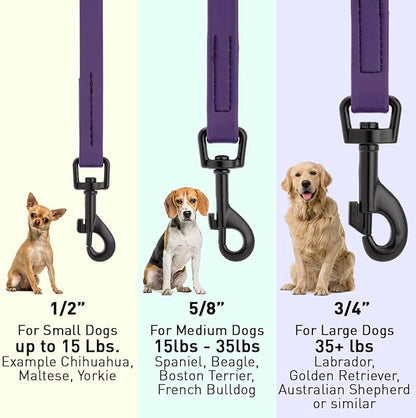 Dogline Biothane Waterproof Dog Leash Strong Coated Nylon Webbing with Black Hardware Odor-Proof Easy to Clean High Performance for Small or Large Dogs Made in USA 4 or 6 ft Lead, Violet Purple