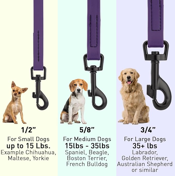 Dogline Biothane Waterproof Dog Leash Strong Coated Nylon Webbing with Black Hardware Odor-Proof Easy to Clean High Performance for Small or Large Dogs Made in USA 4 or 6 ft Lead, Violet Purple