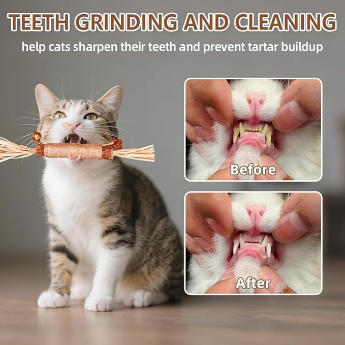 JoyArrive Natural Dried Matatabi Cat Chew Stick with Gall Fruit, Raffia Grass & Bell Cat Ball Toys, Handmade Silvervine Sticks Interactive Catnip Toys for Teething & Entertainment (Size M Color I)