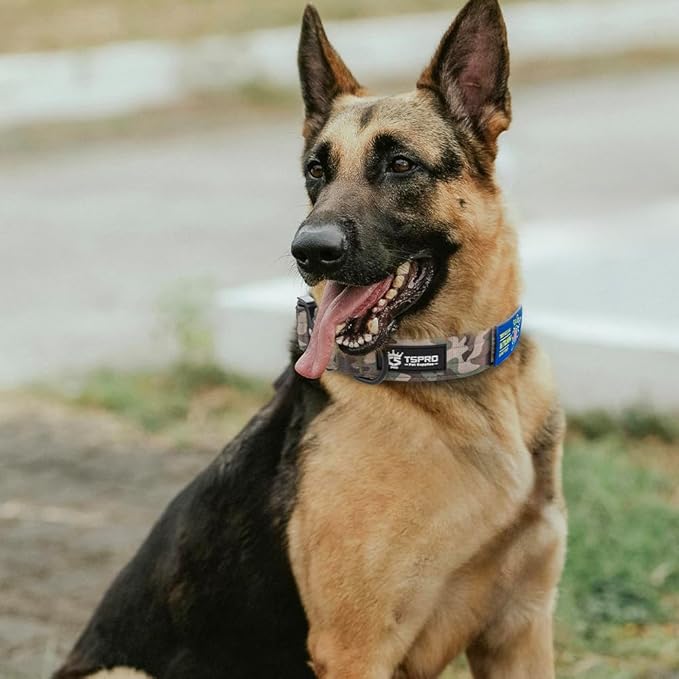 TSPRO Premium Dog Collars Tactical Dog Collar with Patch and Heavy Duty Quick-Release Metal Buckle Durable Thick and Adjustable for Medium to Large Dogs (Military Green M)