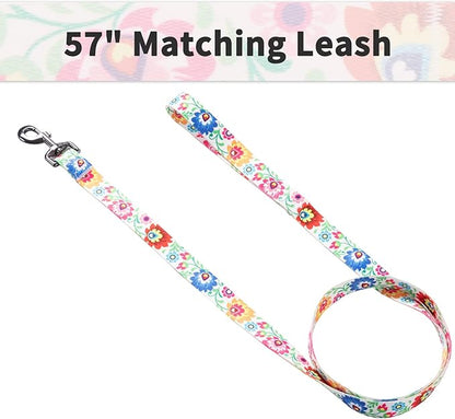 Ihoming Dog Collar and Leash Set for Daily Outdoor Walking Running Training, White Colorful Flowers Design for Small Boys Girls Dogs Cats Pets, S-Up to 20LBS