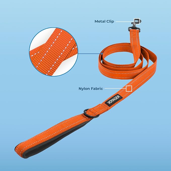 Best Pet Supplies Voyager Reflective Dog Leash or Collar with Neoprene Handle, for Small, Medium, and Large Breed Puppies, Cute and Heavy Duty for Walking, Running and Training - Orange (Leash), L
