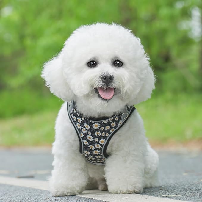 Step in Dog Harness and Leash Set, Flower Adjustable Easy Walk Puppy Harnesses, Soft Mesh No Pull Pet Vest Harness for Small Dogs and Cats(Daisy, XXS)