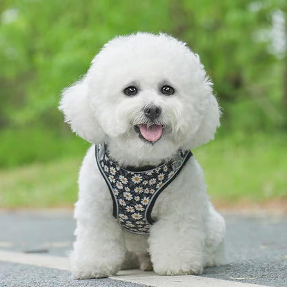 Step in Dog Harness and Leash Set, Flower Adjustable Easy Walk Puppy Harnesses, Soft Mesh No Pull Pet Vest Harness for Small Dogs and Cats(Daisy, XXS)