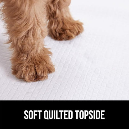 Gorilla Guard Disposable Puppy Pads, 5 Layer Pee Pads for Dogs, Absorbent Diaper Changing Pad, Dog Potty Training Supplies, Quick Dry Pet Housebreaking Essentials for Puppies, 50 Count 28x34 in