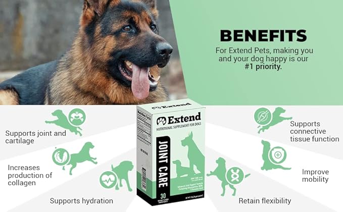 Extend - Joint Care and Probiotic for Dogs. Combo Special!