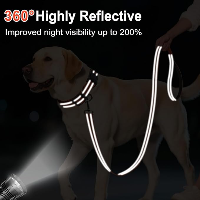 6FT Reflective Nylon Dog Leash with Soft Padded Handle for Walking, Running and Training, Supports Small Medium and Large Dogs (Orange, 1 Inch Wide)
