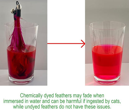 EcoCity Cat Toys - No Chemical Dyeing Cat Feather Toys for Indoor Cats - Include Cat Wand and Natural Feather Refills