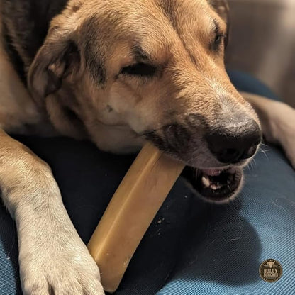 Bully Bunches Mega Authentic Yak Cheese Himalayan Chews for Giant Dogs & Super Aggressive Chewers - All Natural Dog Treat Dental Chews, Made with Real Yak Milk - Lactose & Rawhide Free (4 PK)