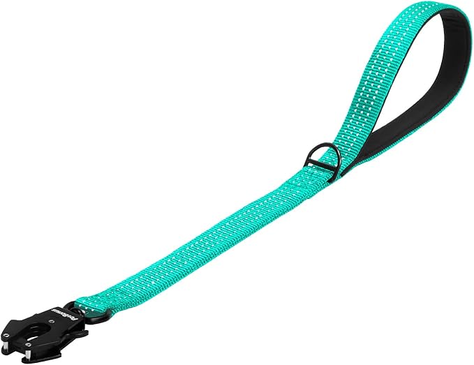 PetBonus Heavy Duty Short Dog Leash, 24 Inch Nylon Traffic Leash with Quick Release Clip, Comfortable Padded Handle, Reflective Training Lead for Medium Large Dogs (Turquoise, 24")