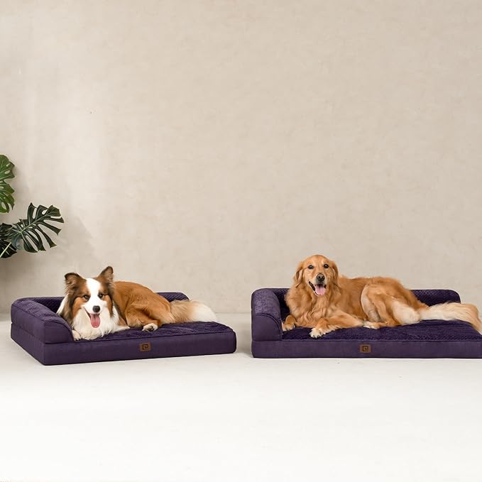 EHEYCIGA Memory Foam Dog Bed Large Size Dogs, Orthopedic Dog Bed Large with Washable Removable Cover, Waterproof Pet Sofa Couch with Nonskid Bottom, 36x27x6, Purple