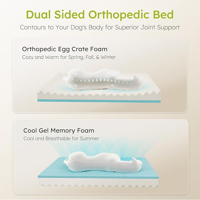 CWAWZ Dog Beds for Large Dogs, Orthopedic Dog Bed with Cooling Gel Memory Foam, Waterproof Large Pet Bed with Removable Washable Cover, 36" Pet Sofa Couch Dutch Velvet with Bone Toy, Light Gray