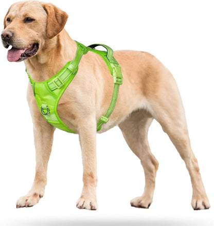 PoyPet No Pull Dog Harness, No Choke Reflective Dog Vest, Adjustable Pet Harnesses with 2 Leash Attachments with Easy Control Padded Handle for Small Medium Large Dogs(Green Matching Trim,XL)