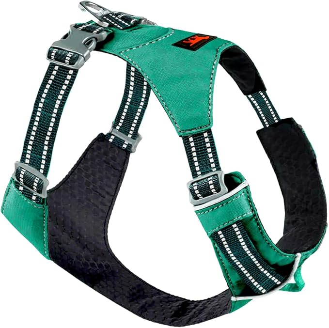 Tuff Pupper All-Day Wear Dog Harness | for Walking, Trail Running, Hiking | Front & Back Leash Clips | Reflective Trim | Easy On/Off Buckles | Lightweight Breathable | No Pull Design (XS, Teal)