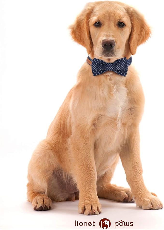 Lionet Paws Boy Dog Collar with Bowtie, Comfortable Adjustable Cute Navy Blue Bow Tie Collar for Male Puppies and Cats Gift, XXS, Neck 7-11 inches