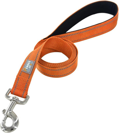 Reflective Dog Leash 6 FT Padded Handle Nylon Dogs Leashes for Small Dogs Orange
