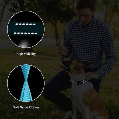 Martingale Dog Collar and Leash Set Martingale Collars for Dogs Reflective Martingale Collar for Small Medium Large Dogs(Sky Blue&L)