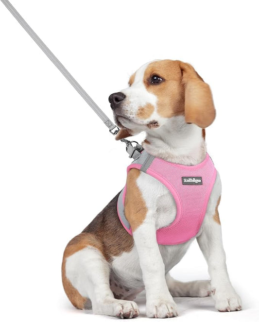 rabbitgoo Dog Harness Small Medium Sized and Leash Set, Step in Soft Light Puppy Vest, Breathable Mesh Pet Harness, Reflective for Safe Easy Walking, Pink & Gray L